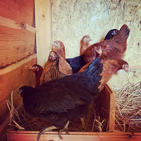 Bed & Breakfast La Belle Etable 4*