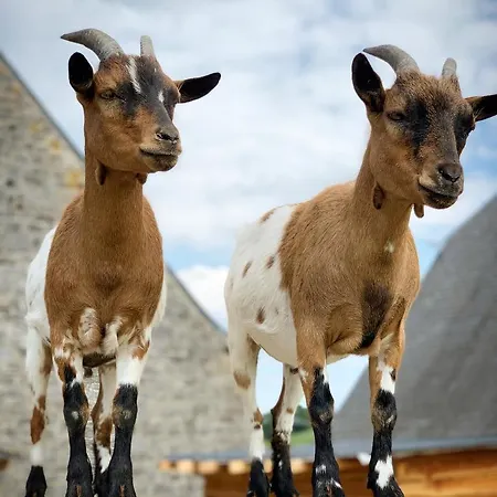 Bed & Breakfast La Belle Etable Dinant