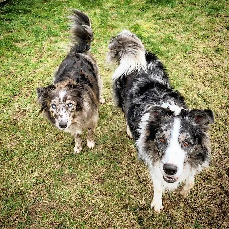 Bed & Breakfast La Belle Etable