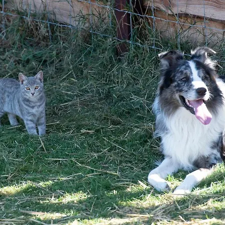 Bed & Breakfast La Belle Etable